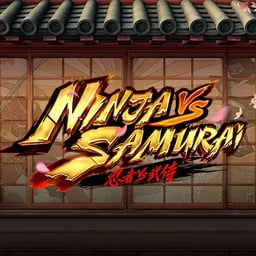 Ninja vs Samurai